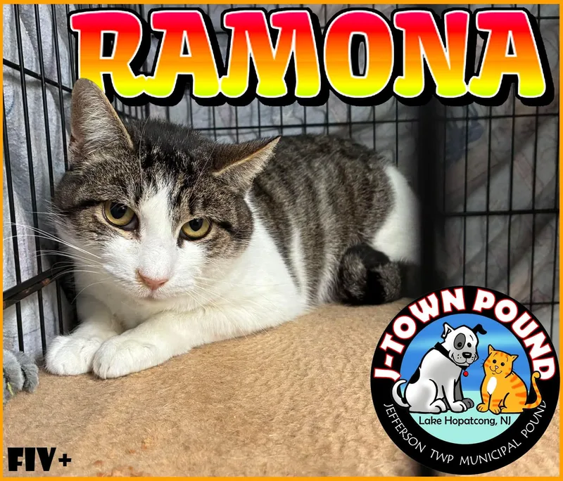 Ramona thumbnail 4
