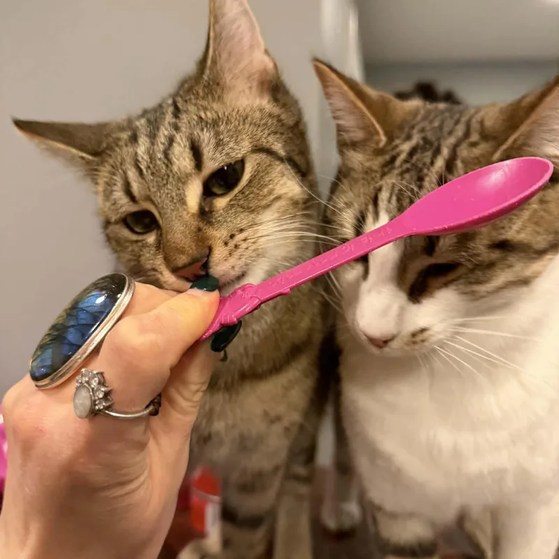 Tamarind thumbnail 2