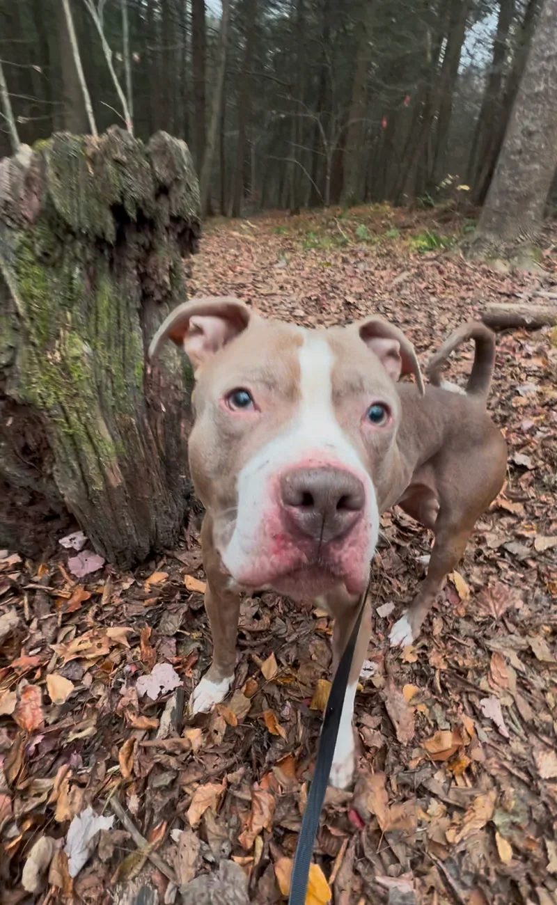 Sundance thumbnail 2