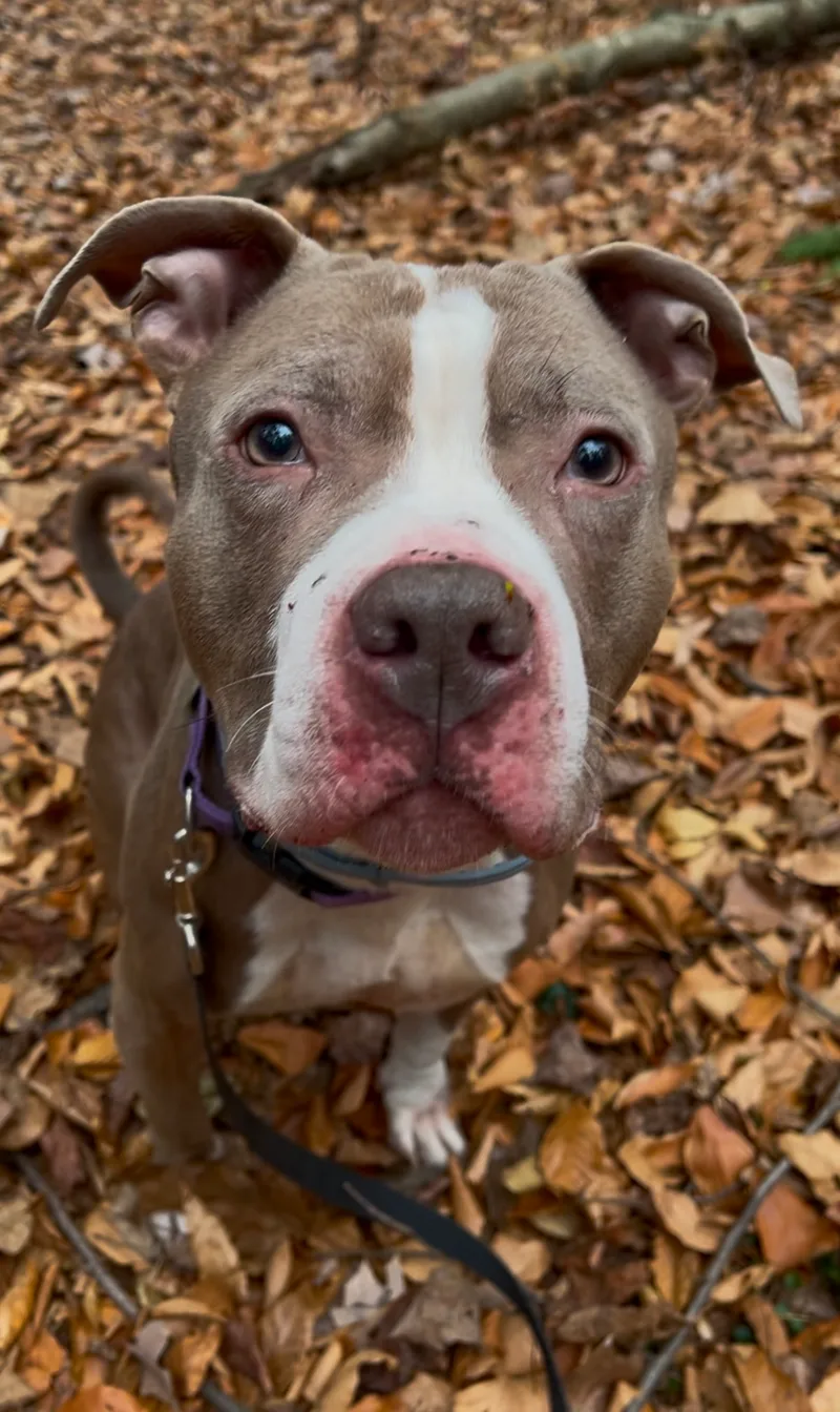 Sundance thumbnail 3