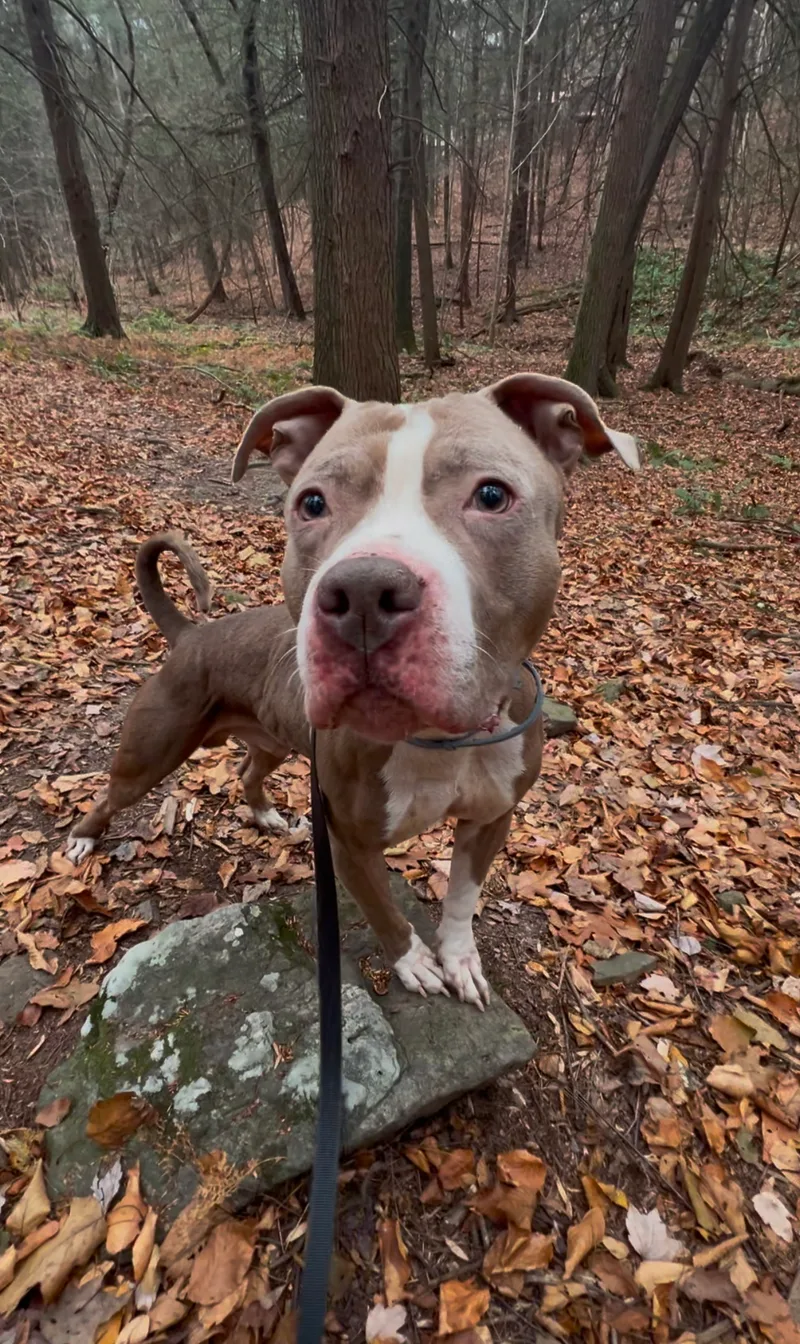 Sundance thumbnail 5