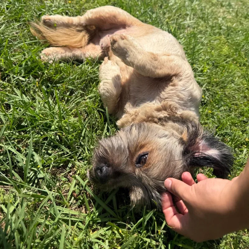 Jack Jack thumbnail 3