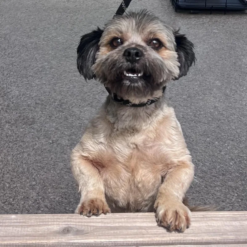 Jack Jack thumbnail 5