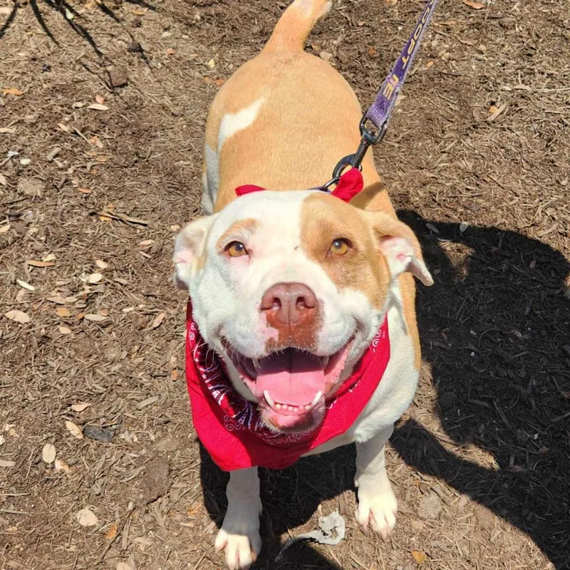 Gayle Jum thumbnail 2