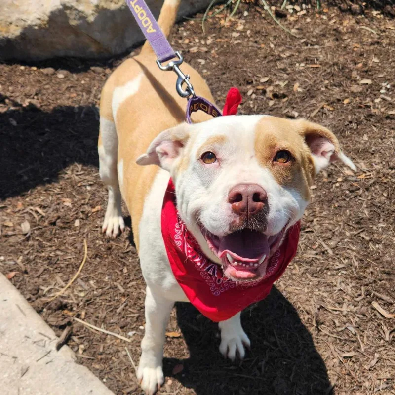 Gayle Jum thumbnail 3