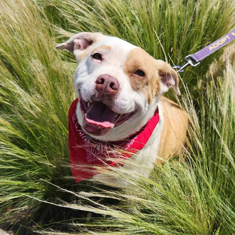 Gayle Jum thumbnail 4