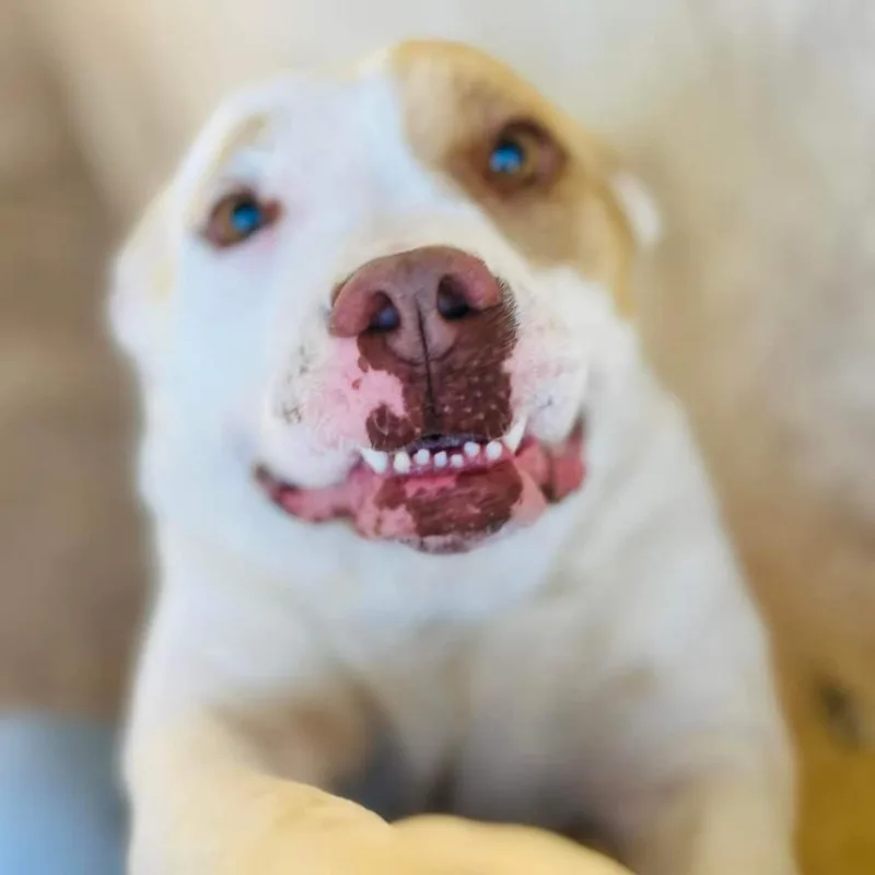 Gayle Jum thumbnail 5