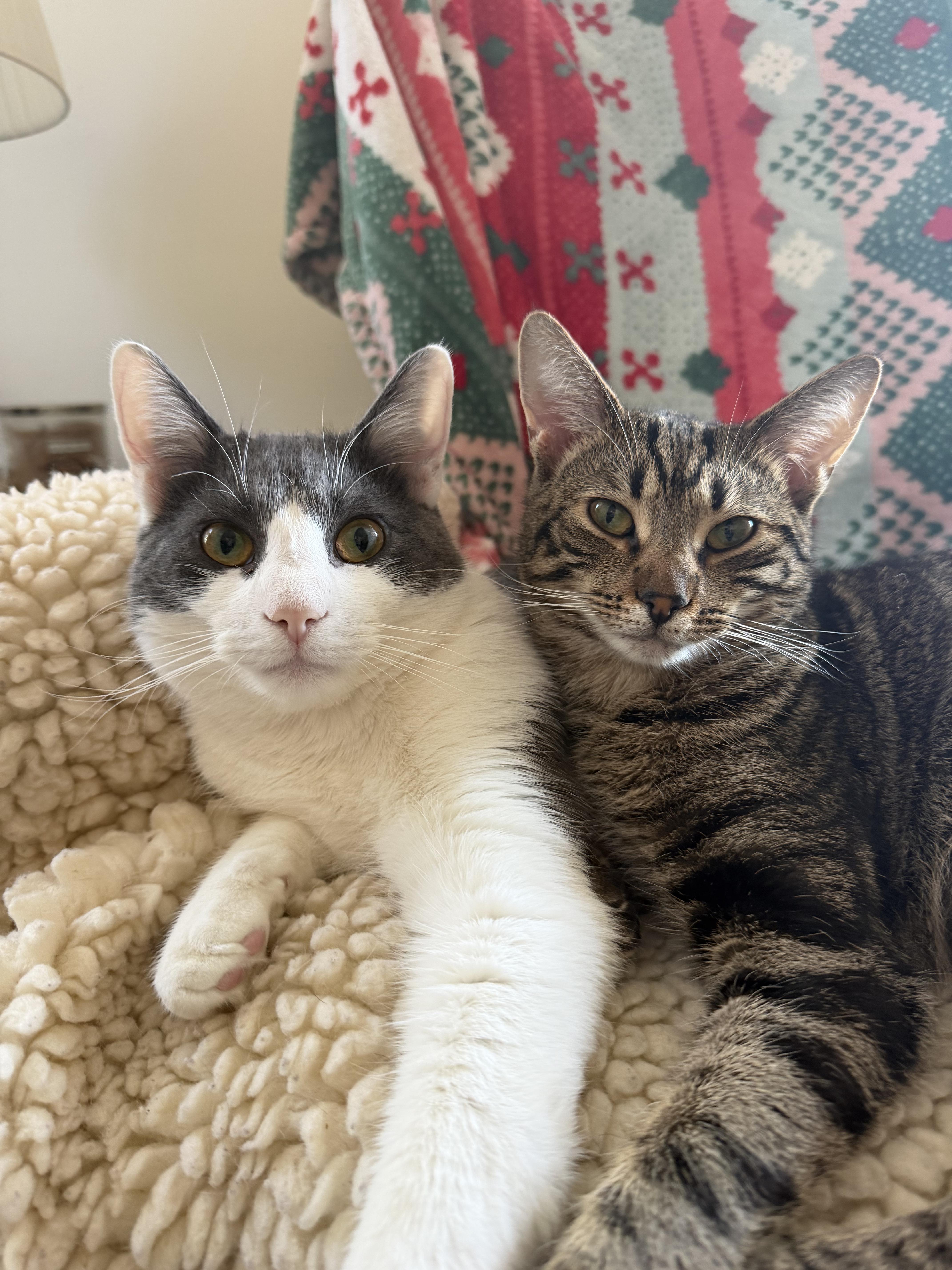 Charlie Day thumbnail 2