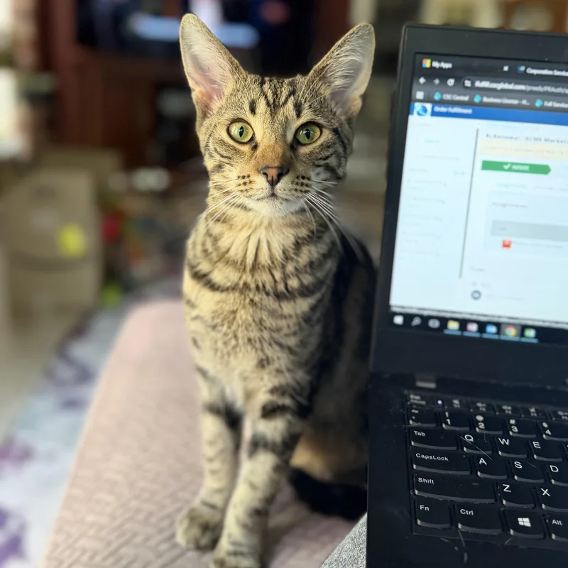 Charlie Day thumbnail 3