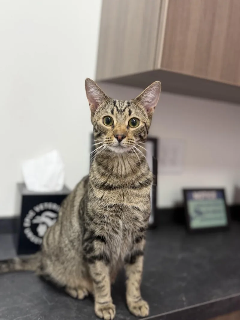 Charlie Day thumbnail 4