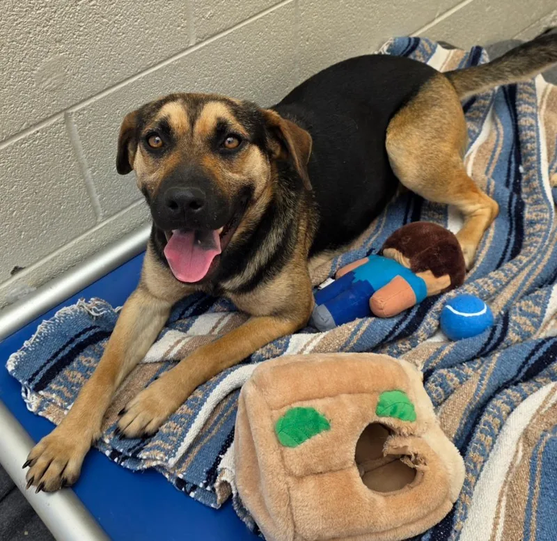 Iliana  Ac  thumbnail 2