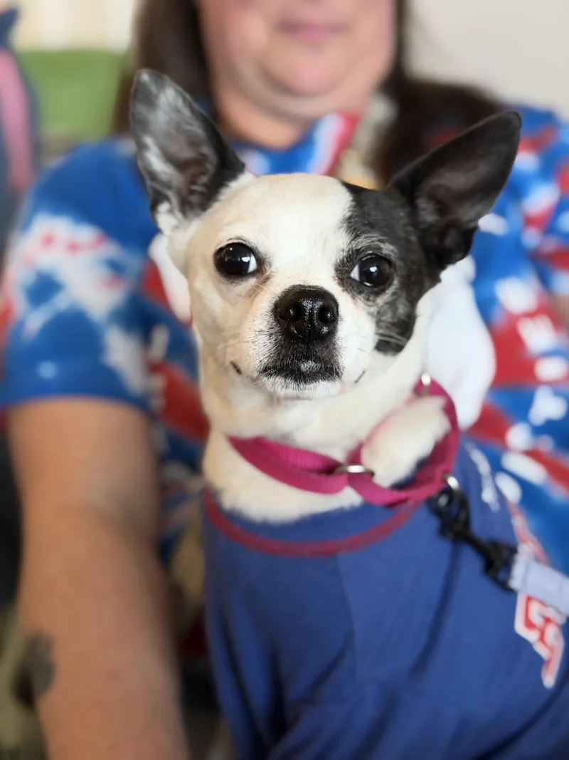 Lulu thumbnail 4