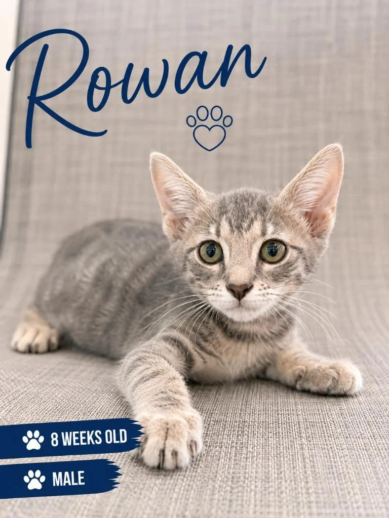 Rowan
