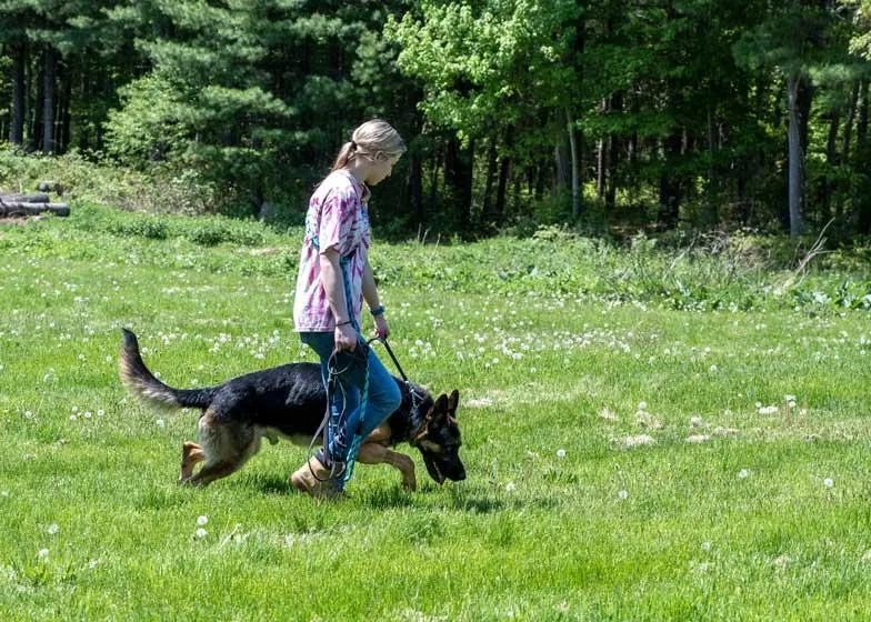Loki thumbnail 3