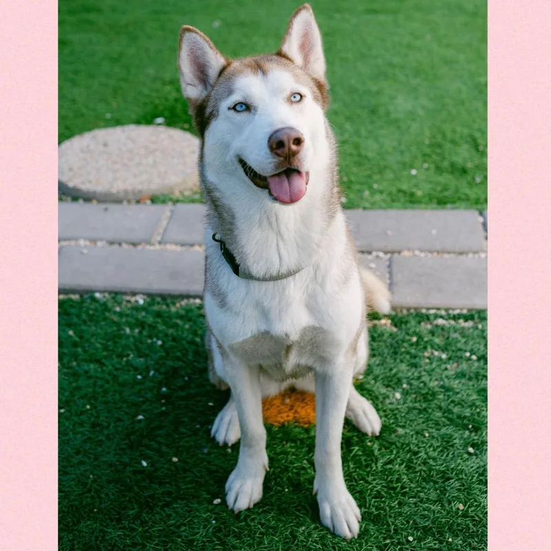 Gretel Grimm thumbnail 2