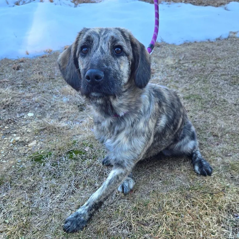 Ct Stormy thumbnail 2