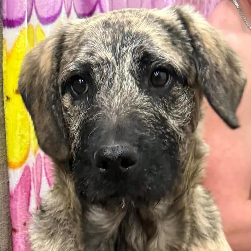 Ct Stormy thumbnail 3