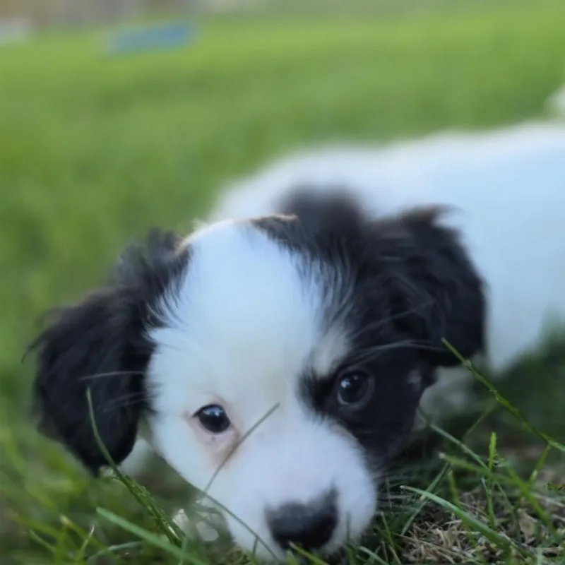 Tatum thumbnail 5