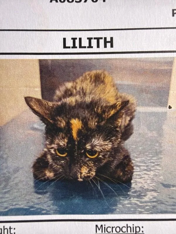 Lilith