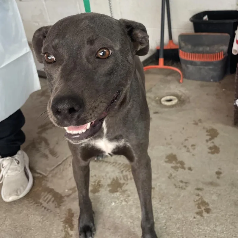 Katherine thumbnail 2