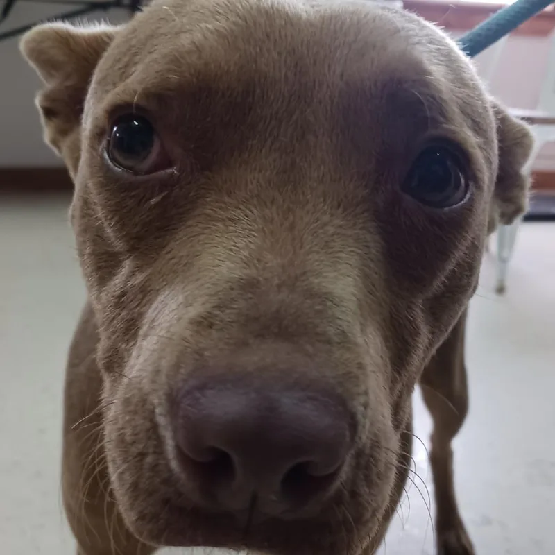 Michelle thumbnail 2