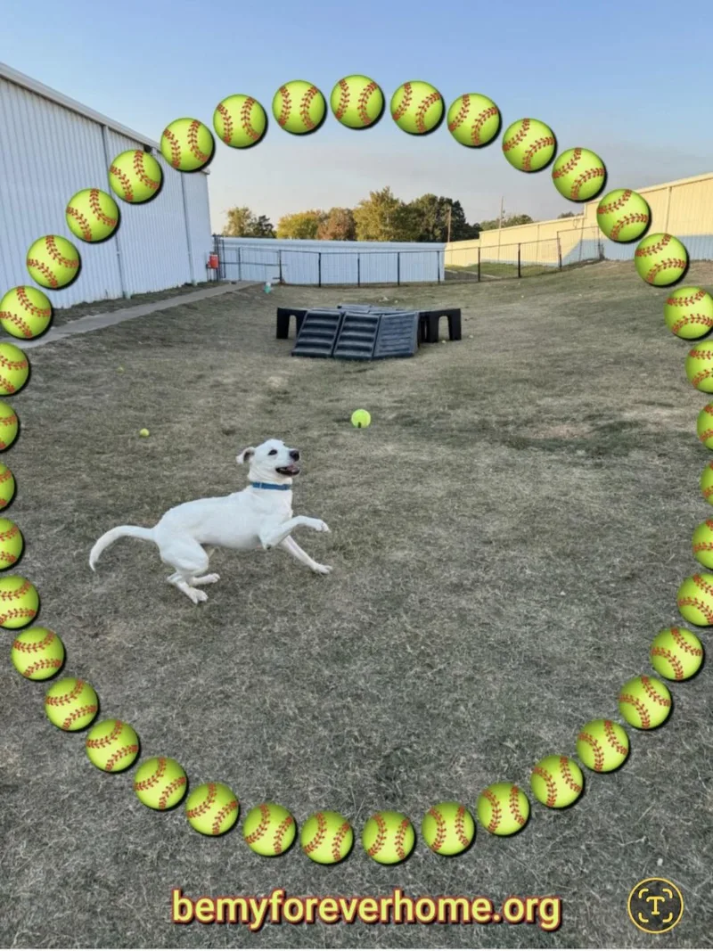Tucker thumbnail 3
