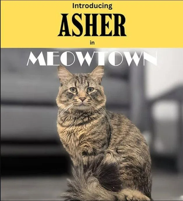 Asher & Peter BONDED