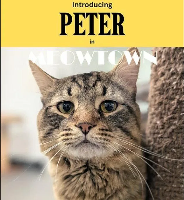 Asher & Peter BONDED thumbnail 2