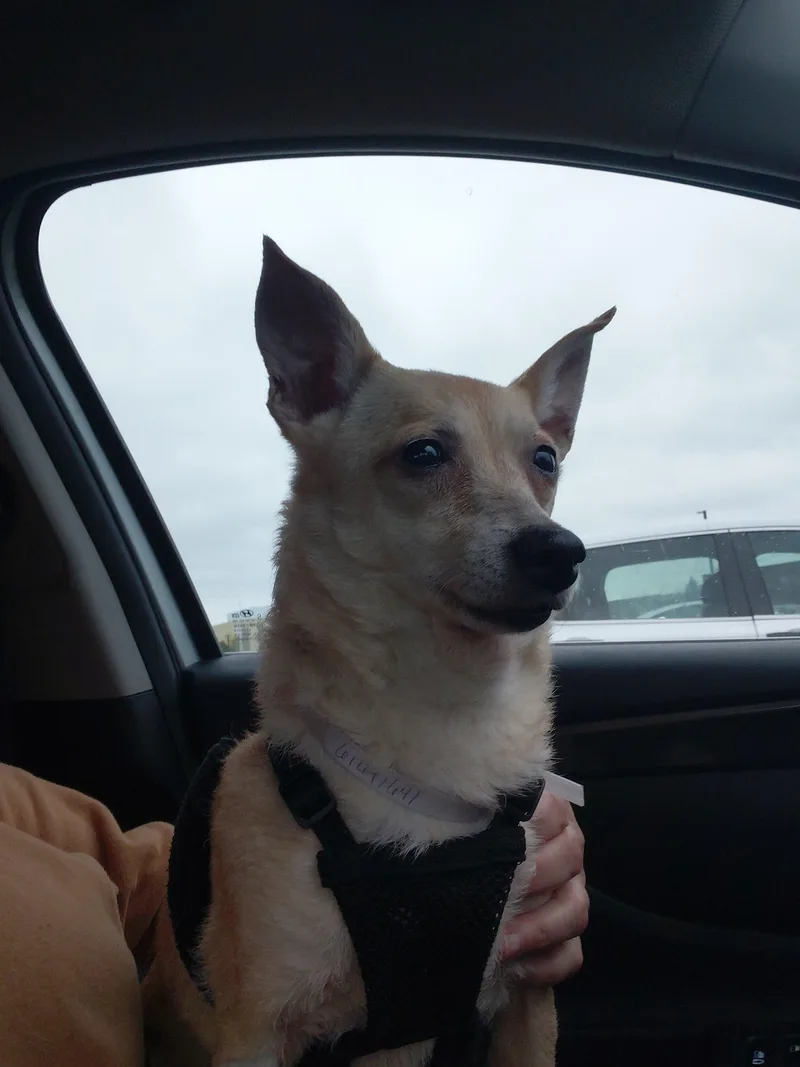 Maggie thumbnail 3