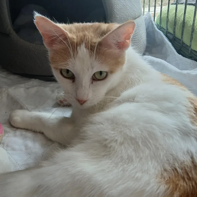 Martha Stewart thumbnail 3