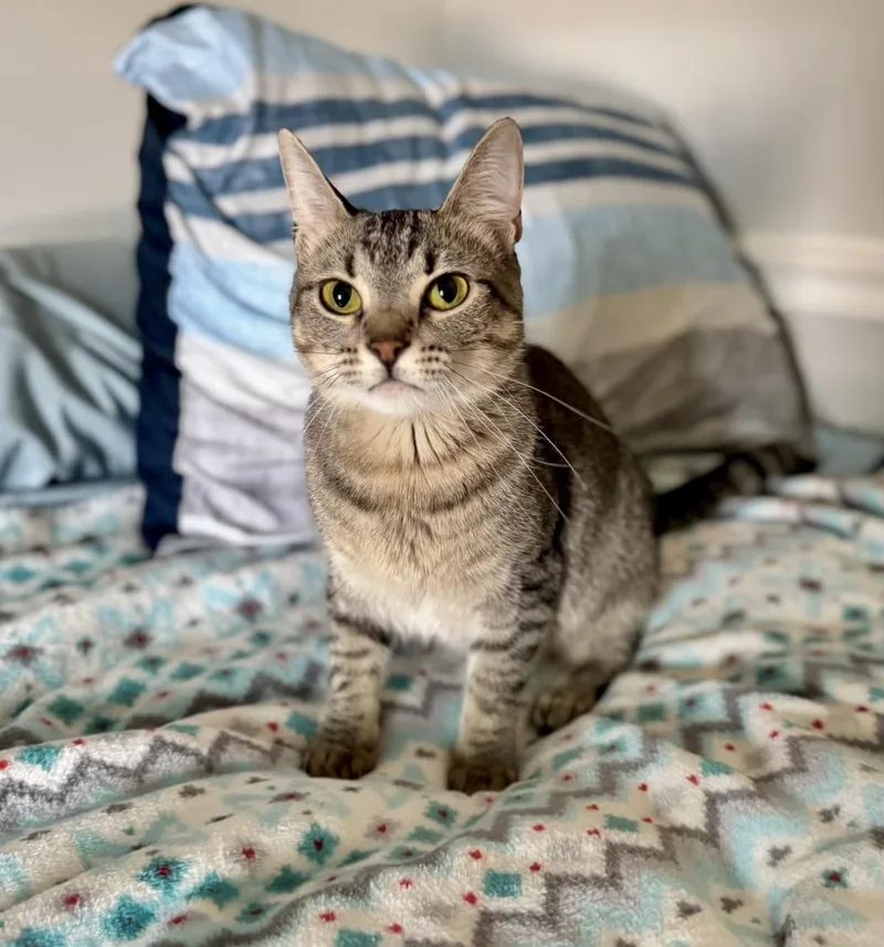 Lucy  Kuykendahl Petsmart thumbnail 2