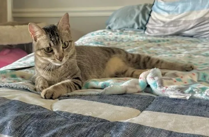 Lucy  Kuykendahl Petsmart thumbnail 3