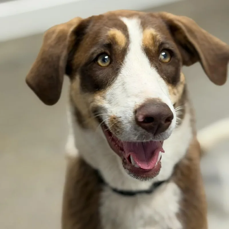 Fwt Ursula thumbnail 2