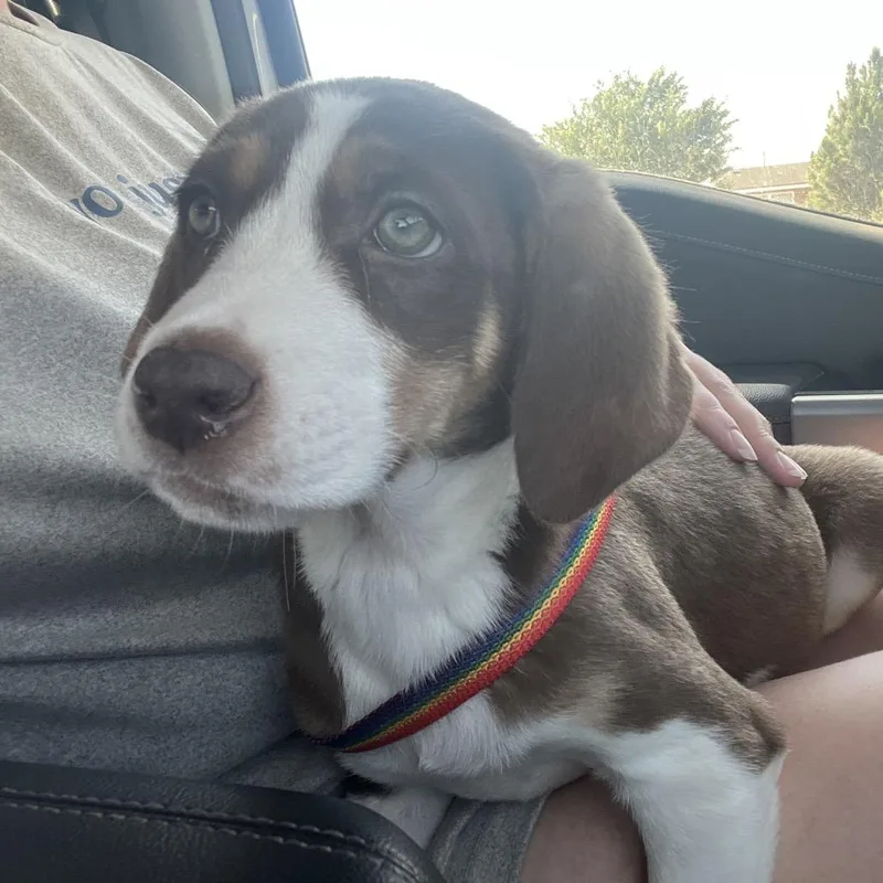 Fwt Ursula thumbnail 3