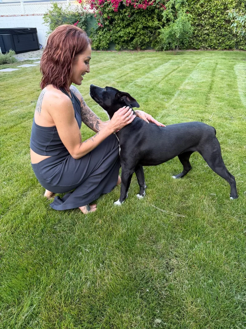 Lollipop thumbnail 4