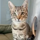 Lois thumbnail 2