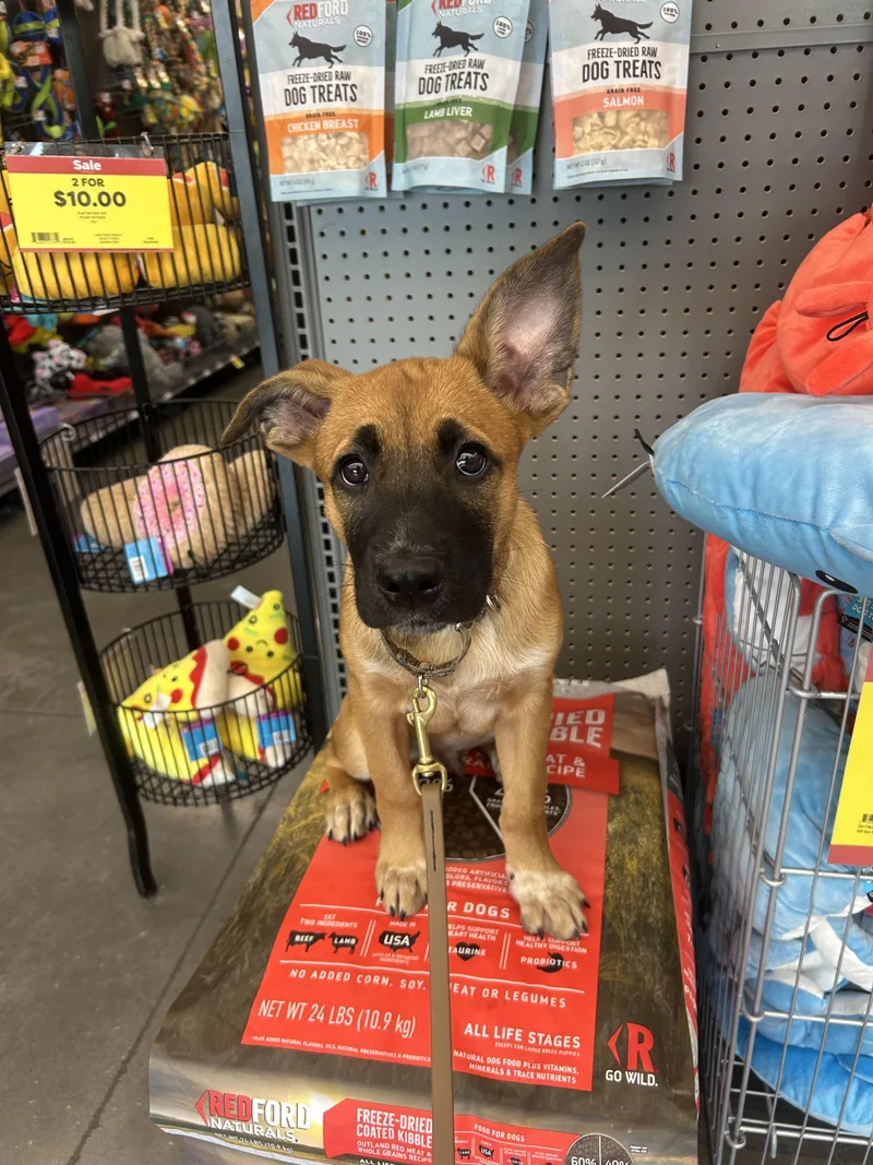 Jax
