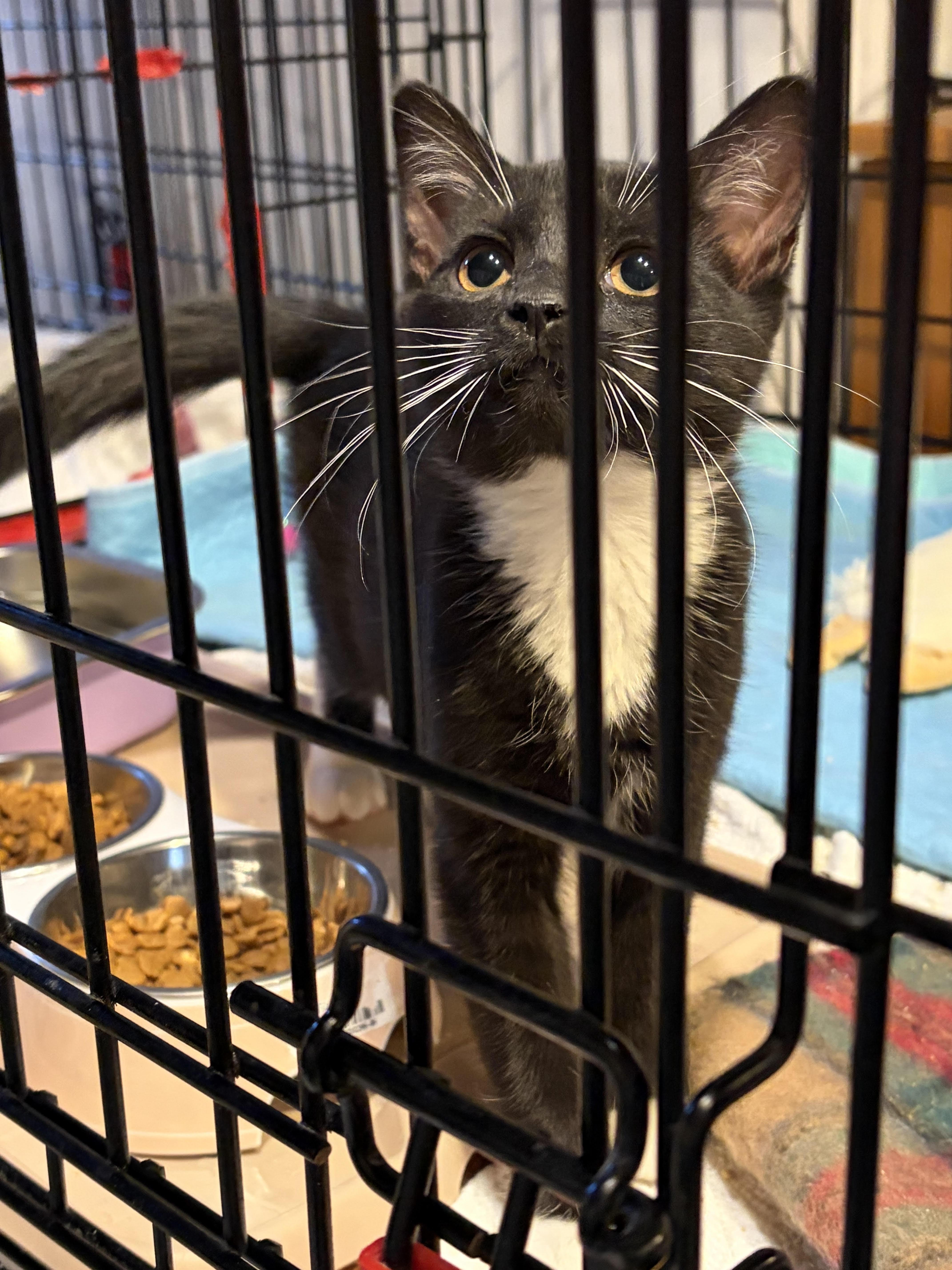 Fiona & Cosette thumbnail 2