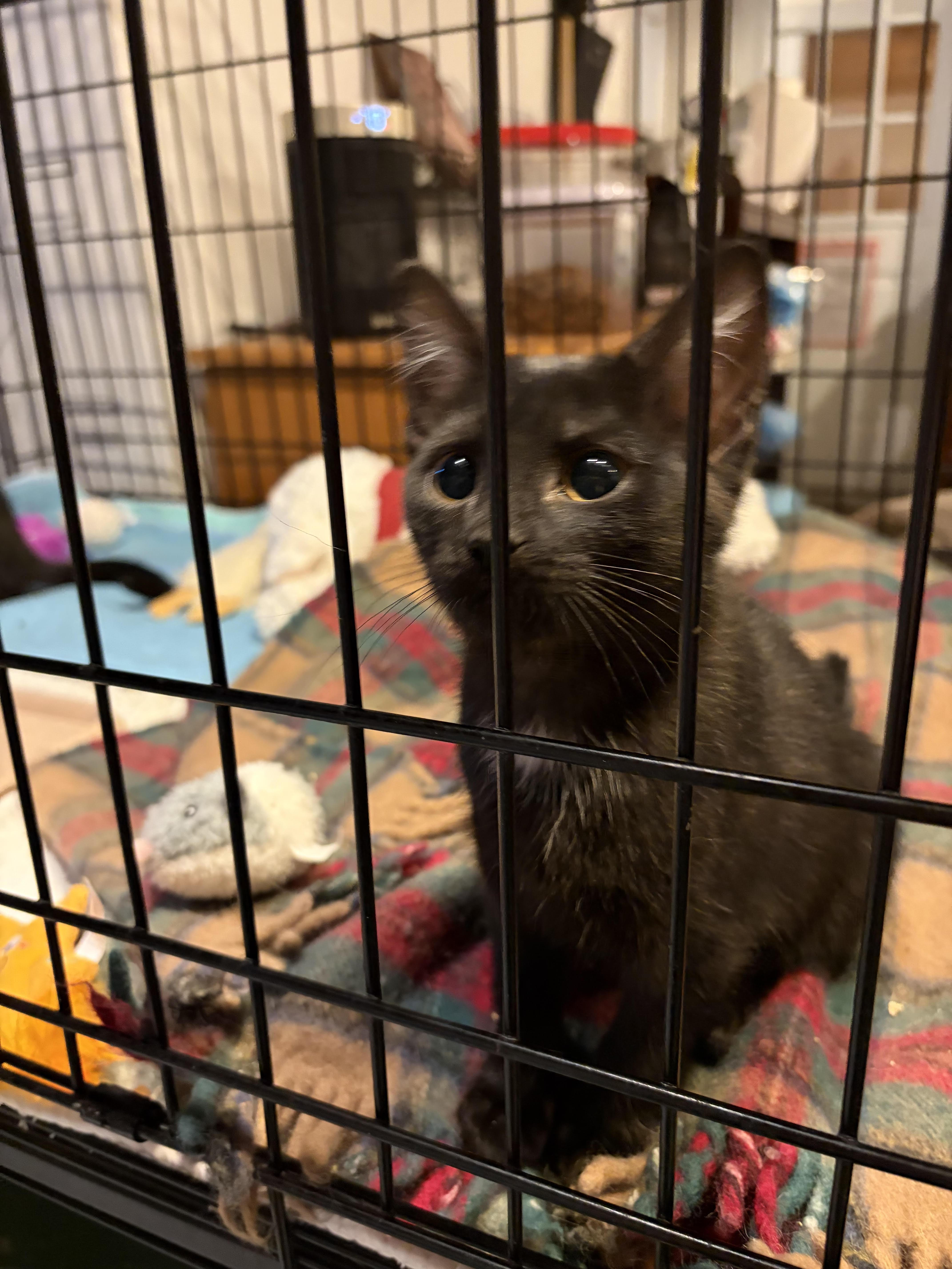 Fiona & Cosette thumbnail 3