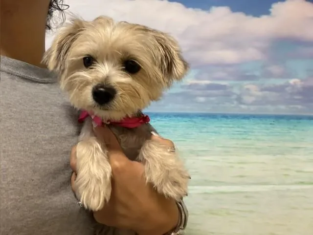 Rubyann