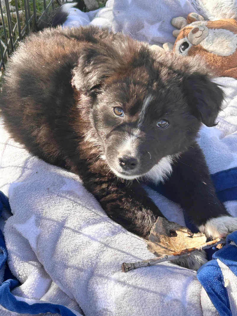 Jelly Belly thumbnail 2