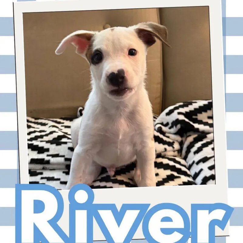 River