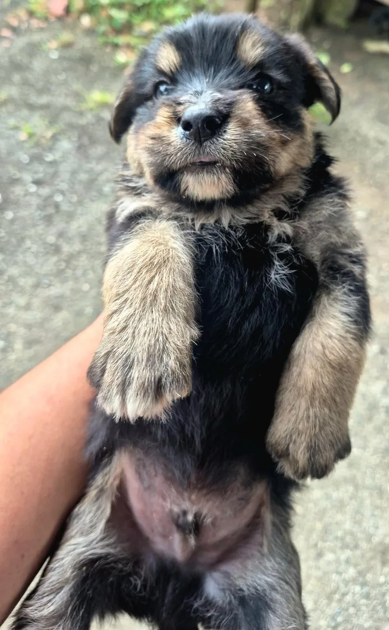 Vinnie "the Only Love thumbnail 2