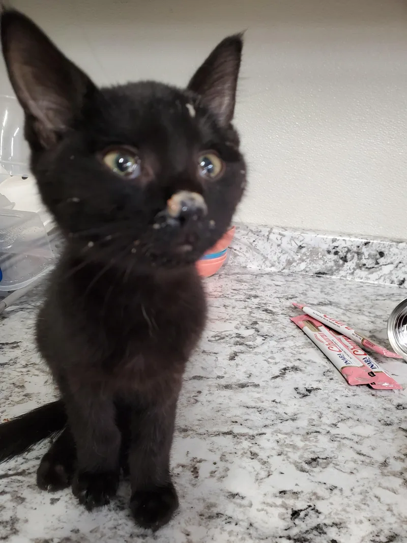 Marcy Too thumbnail 2