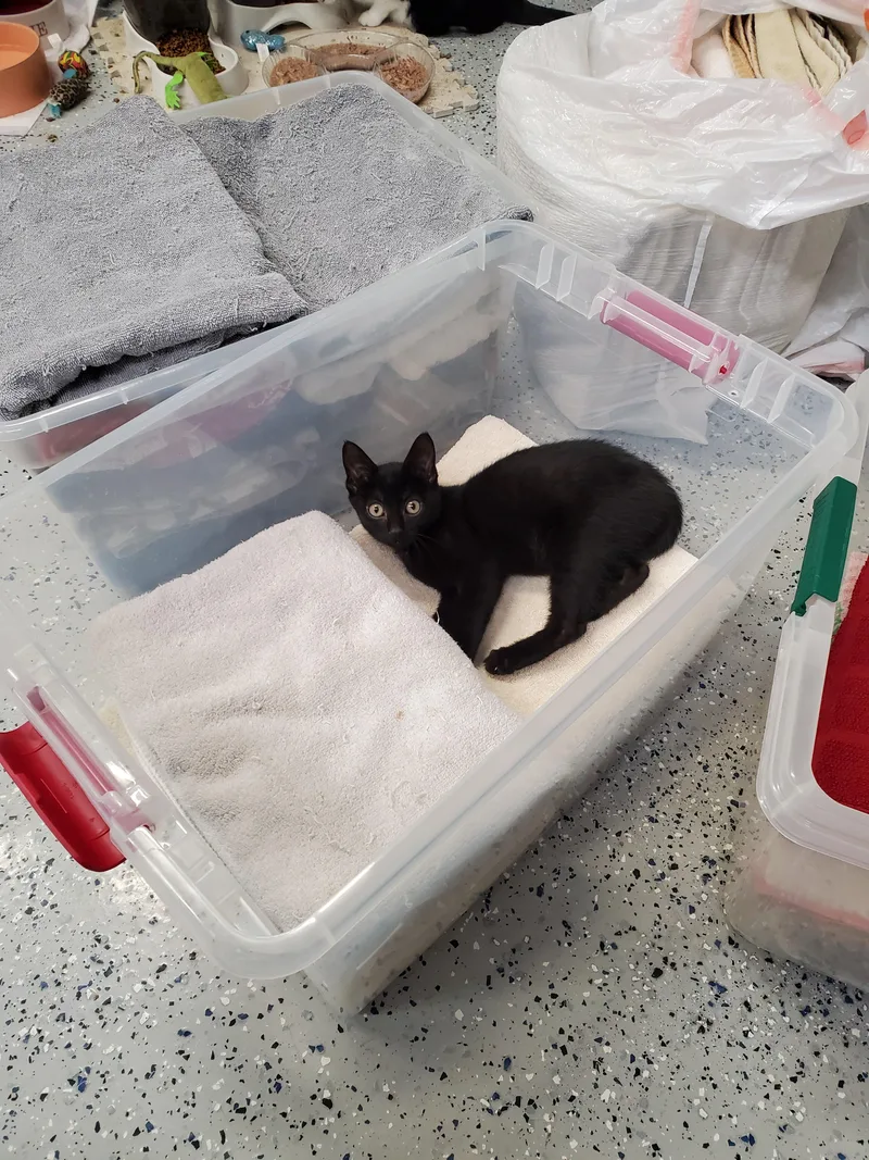 Marcy Too thumbnail 5