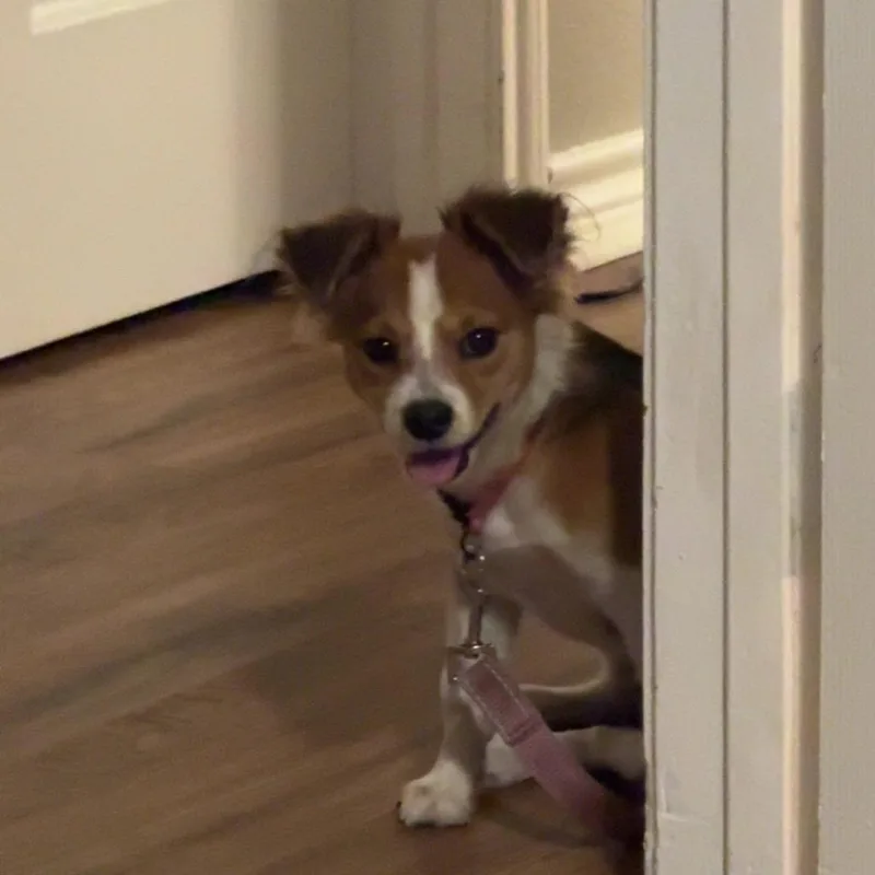 Nyla Arriving  D thumbnail 2