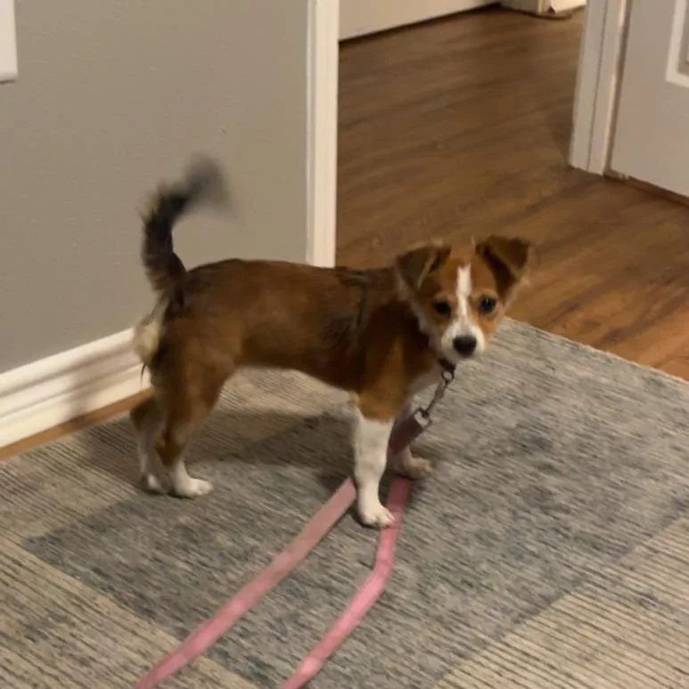 Nyla Arriving  D thumbnail 3