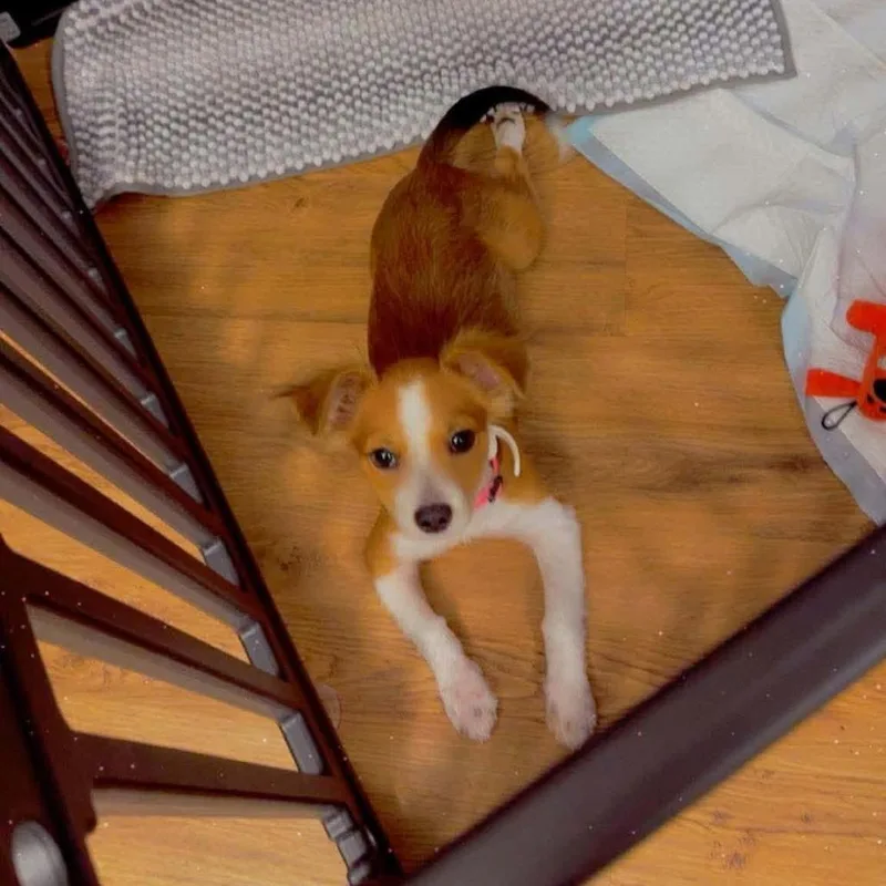 Nyla Arriving  D thumbnail 4