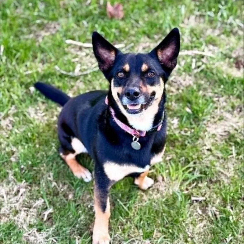 Benson