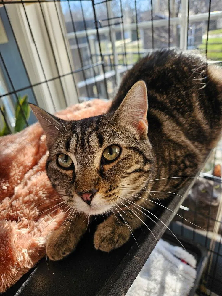 Catherine thumbnail 2